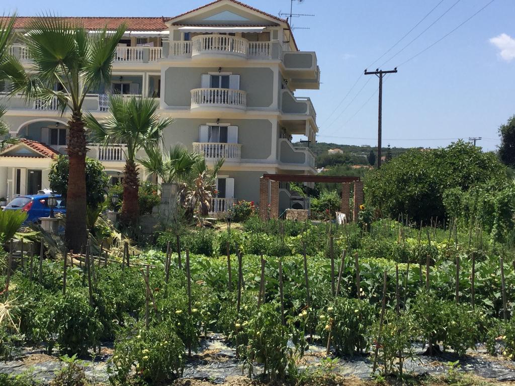 Hotel Villa Basil Tsilivi (Zakynthos) Exterior foto